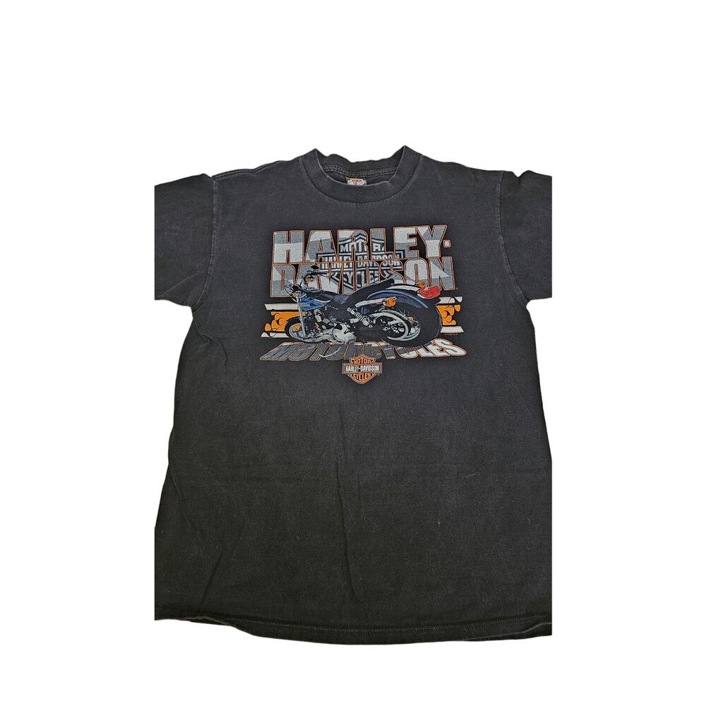 Vintage Harley‎ Davidson Double sized graphic size large tshirt
